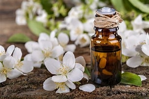 Jasmine Absolute Essential Oil